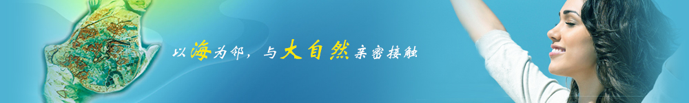 中华网新闻门户视觉图片